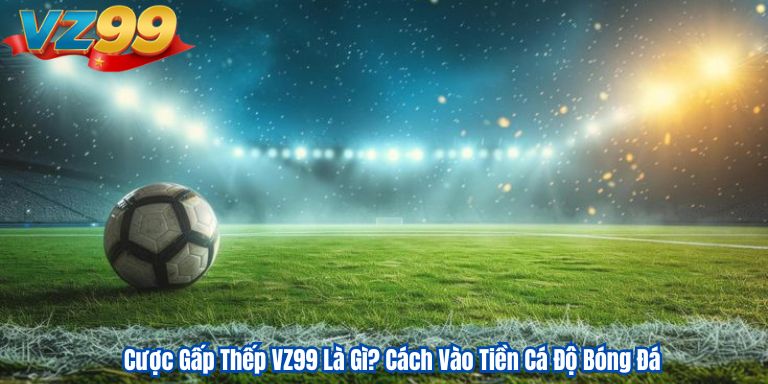 Cược Gấp Thếp VZ99 Là Gì? Cách Vào Tiền Cá Độ Bóng Đá 7 Cược Gấp Thếp VZ99 Là Gì? Cách Vào Tiền Cá Độ Bóng Đá